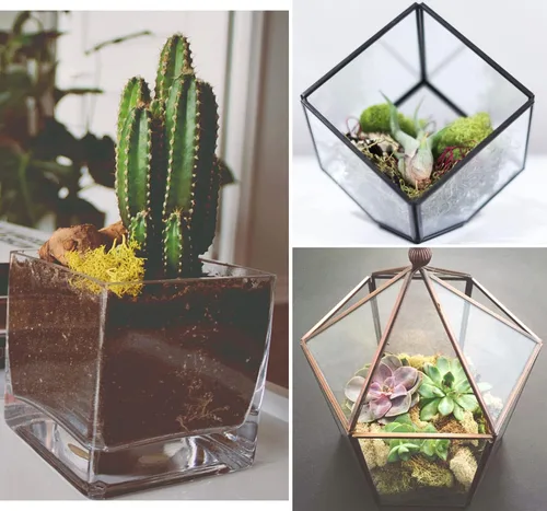 Miniatura 2 de Musgo de reno preservado de musgo falso de 3.5 onzas para plantas en maceta, artes y manualidades, terrarios, decoración de pared, centros de mesa