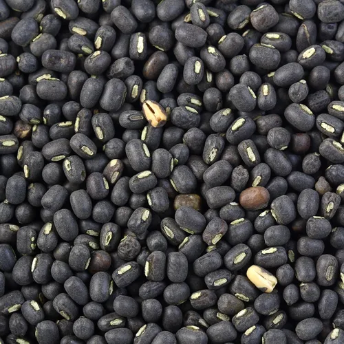 Miniatura 8 de Rani Urid/Urad Entero Negro (frijoles mate con piel) Lentejas indias 400oz (25 libras) Caja a granel de 25.0 lbs ~ Todo natural Apto para gluten
