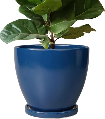 Miniatura 12 de Maceta para Plantas de 6.8 Pulgadas - Maceta de Cerámica con Orificio de Drenaje y Platillo, Maceta Redonda Moderna para Flores, Macetas