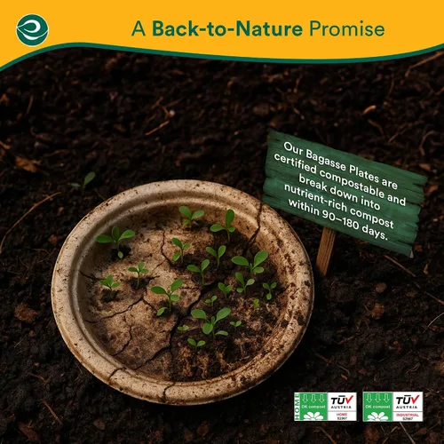 Miniatura 4 de ECO SOUL - Platos de papel compostables de 9 pulgadas (paquete de 200) biodegradables, resistentes, desechables, ecológicos para cena de Navidad