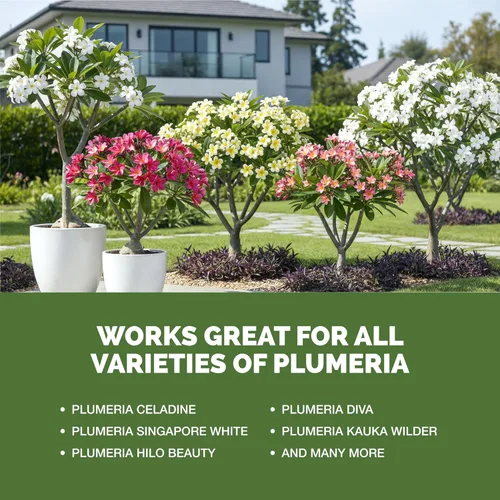 Miniatura 5 de Plumeria Fertilizante para todas las plantas frangipani y tropicales, alimento líquido para plantas, 1 galón (128 onzas)