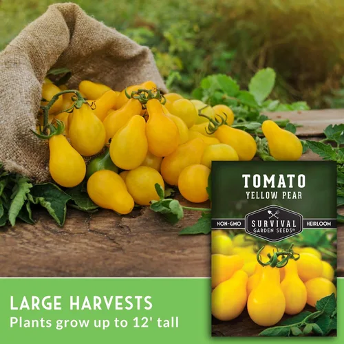 Miniatura 3 de Paquete de 2 semillas de tomate de pera amarilla para plantar, paquete con instrucciones para cultivar tomates dorados en tu huerto casero, variedad