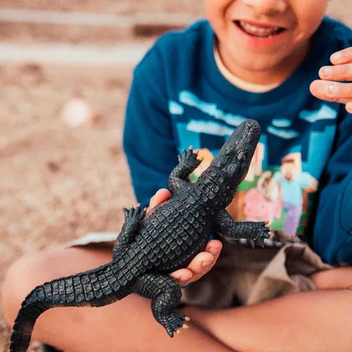 Miniatura 4 de Safari Ltd. Figura de cocodrilo – Figura detallada de caimán de plástico de 10.5 pulgadas – Divertido juguete educativo para niños, niñas y niños a