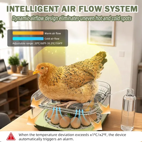 Miniatura 2 de XOTTI Incubadora para incubar huevos, 12 incubadoras de huevos con control de temperatura y humedad, girador automático, vela, visualización de 360°