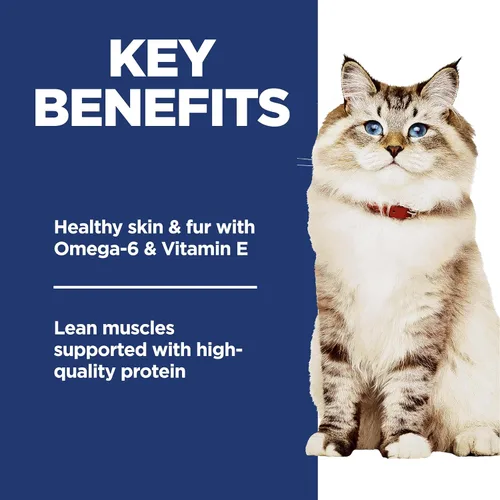 Miniatura 4 de Hill's Science Diet Adulto 1-6, Adulto 1-6 Nutrición Premium, Alimento Seco para Gatos, Sin Maíz, Trigo, Soja, Receta de Pollo y Arroz Integral