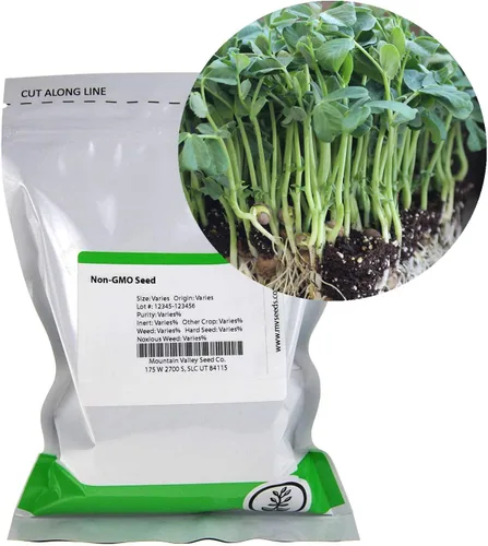 Miniatura 2 de Semillas de germinación de guisantes moteados – 5 libras – Semillas de germinación de guisantes verdes certificadas orgánicas, sin OMG – Brotes