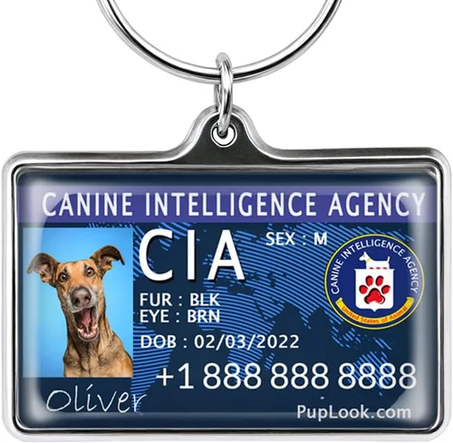 Etiquetas de perro personalizadas para mascotas Personalizadas para mascotas Etiquetas de perro de silicona Etiqueta de perro especial Etiqueta de