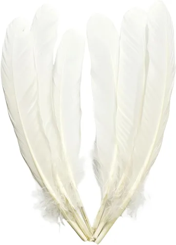 Miniatura 8 de Plumas de pavo negro, pluma larga natural grande de 10 a 13 pulgadas, plumas bilaterales de tamaño grande para manualidades, 12 piezas (pavo negro)