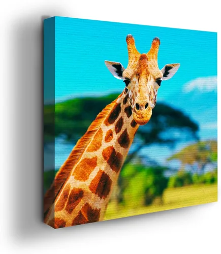Miniatura 83 de Mavis Print - Lienzo decorativo para pared con diseño de conejo/conejo, 36 x 36 pulgadas, decoración de pared de animales impresos en HD y marco