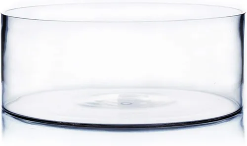 Miniatura 11 de WGV - Jarrón cilíndrico, ancho abierto de 8 pulgadas, altura de 4 pulgadas, recipiente transparente estilo sartén plana, terrario para maceta