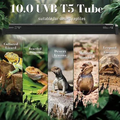 Miniatura 8 de Lámpara T5 UVB para Reptiles de 12.5 Pulgadas con Foco UVB 10.0 de Alta Salida para Terrarios, Reptiles Tomando Sol, Lagartos, Camaleones, Iguanas