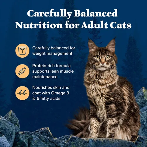 Miniatura 4 de Blue Buffalo Wilderness Alimento seco natural con alto contenido de proteínas, sin granos para gatos adultos, control de peso, pollo, bolsa de 11