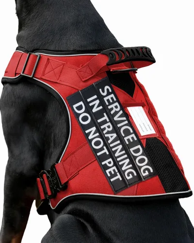 Miniatura 17 de Chaleco de perro de servicio para perros medianos, arnés de perro de servicio en entrenamiento con parches, chaleco ajustable para perros