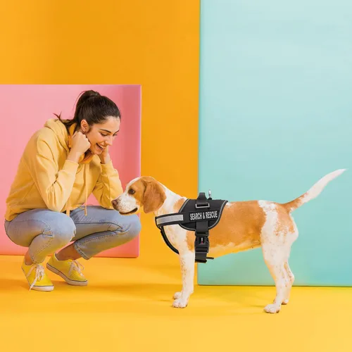 Miniatura 6 de Dogline Unimax - Arnés multiusos para perros y 2 parches extraíbles de búsqueda y rescate, pequeño, color negro