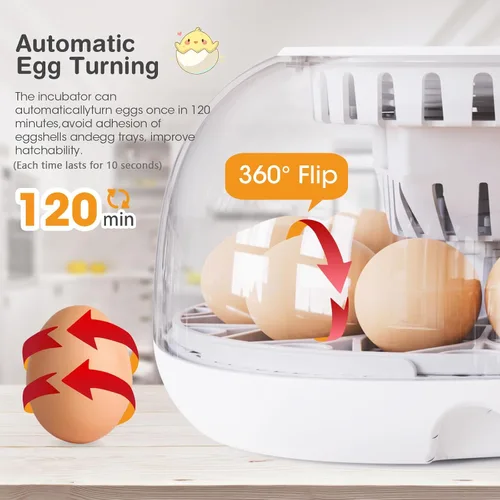 Miniatura 3 de Incubadoras para incubar huevos, incubadora de 12 huevos con giro automático y control de temperatura, adición automática de agua, candelero LED