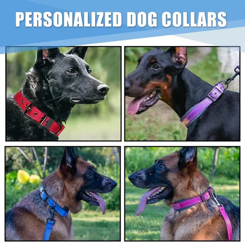 Miniatura 6 de Collares de perro personalizados con nombre de mascota y número de teléfono, acolchado de neopreno suave, collar de perro grueso y fuerte, collar
