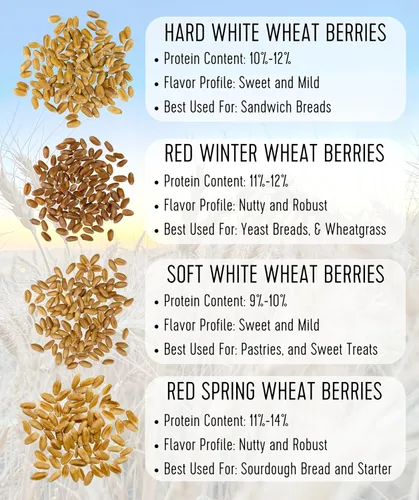 Miniatura 8 de Palouse Brand Bayas de trigo de primavera rojas duras certificadas sin residuos de glifosato, 100 libras, cultivadas en familia en el estado