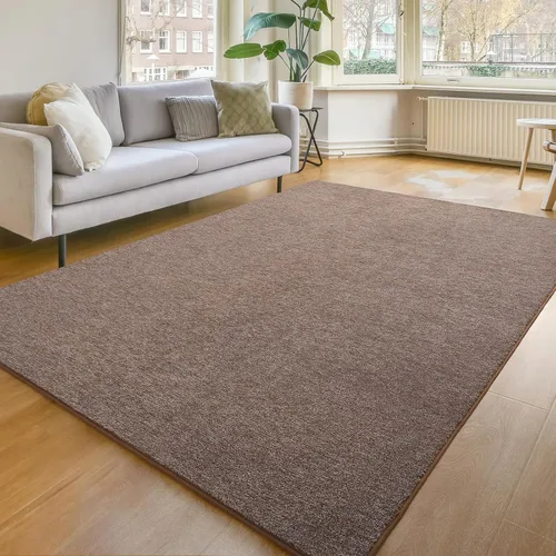 Amearea 6x9 Alfombra de área moderna y suave, alfombras lavables de color elegante para sala de estar, alfombra de felpa para decoración del hogar,