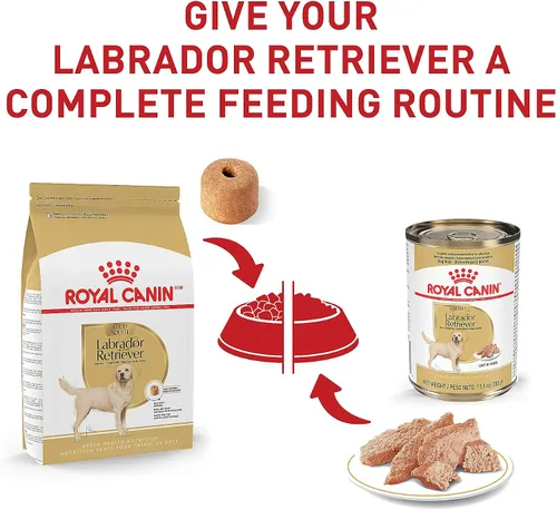 Miniatura 8 de Royal Canin Breed Health Nutrition Labrador Retriever - Alimento seco para perros adultos, bolsa de 5 libras
