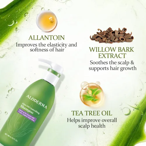 Miniatura 2 de Aloderma Set de cuidado del cabello de aloe vera: champú que controla el aceite, acondicionador nutritivo para el cabello