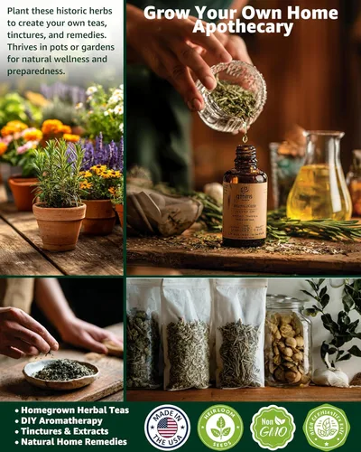 Miniatura 3 de Paquete variado de semillas de hierbas medicinales – 36 semillas de jardín de té de hierbas no transgénicas: manzanilla, lavanda, equinácea