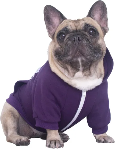 Miniatura 21 de iChoue - Disfraces para perros, I am a French Bulldog, suéteres divertidos, abrigos de invierno, sudaderas con capucha, Frenchie Pitbull Corgi, Pug