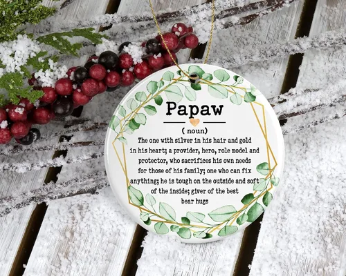 Miniatura 2 de Adorno de sustantivo de Papaw – Adorno de Navidad para Papaw – Adorno del Día del Padre – Regalos de Papaw – Definición de Papaw – Recuerdo impreso