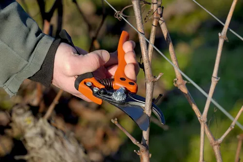 Miniatura 3 de Bahco BAHPX-S2 ERGO Tijeras de podar pequeñas de derivación, 7 pulgadas de largo, mango de agarre suave fijo recubierto de elastómero, capacidad