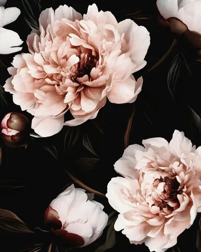 Miniatura 24 de Papel tapiz floral negro para despegar y pegar, papel tapiz de vinilo para pegar y pelar, papel de contacto rosa oscuro para gabinetes, papel