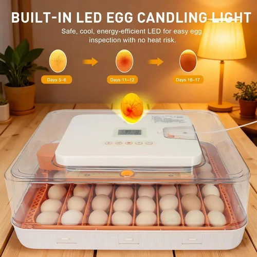 Miniatura 5 de Serie IV - Incubadora profesional de 56 huevos para criadores, control de humedad y temperatura preciso basado en sensores automáticos, espaciado