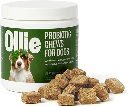 Ollie Frotes para el vientre, masticables probióticos para perros, salud digestiva, ingredientes naturales, para alivio del malestar estomacal,