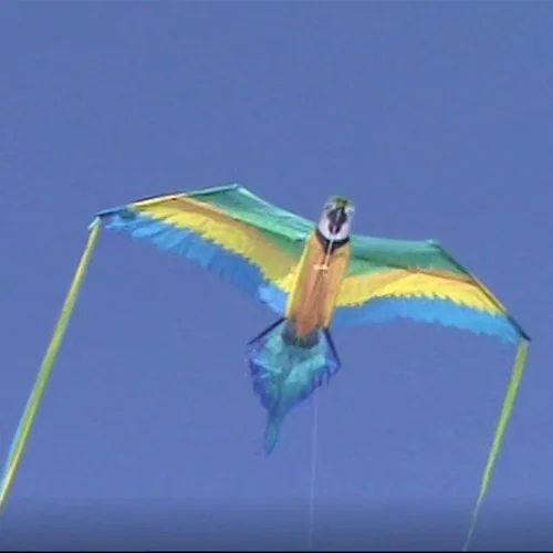Miniatura 7 de WindNSun Cometas en forma de animal – Cometas de animales terrestres de selva tropical y SkyZoo y animales marinos de vida marina con SkyTails