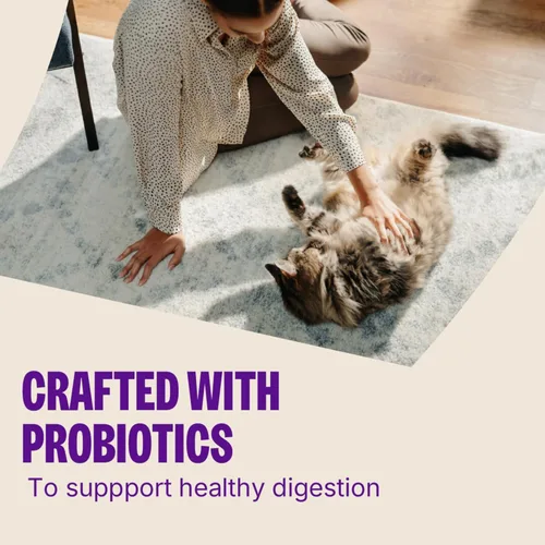 Miniatura 4 de Wellness Kittles - Crujiente sorpresa alimenticia natural para gatos sin granos