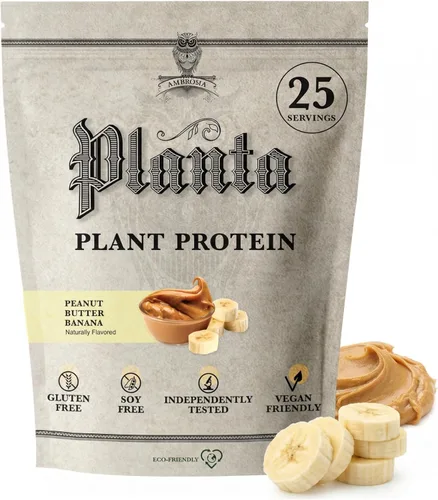 Ambrosia Planta - Polvo de proteína a base de plantas 20g | Polvo de proteína vegano sin lácteos con aminoácidos BCAA | Apto para dieta cetogénica,