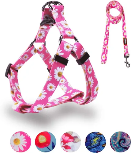 Miniatura 9 de QQPETS Juego de correa de arnés para perro, ajustable, resistente, sin tirones, arnés halter para perros de razas pequeñas, medianas y grandes, clip