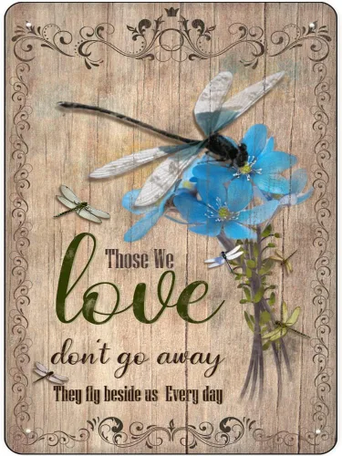 Cartel de hojalata vintage con texto en inglés "Dragonfly Those We Love Don't Go Away" (texto en inglés «Those We Love Don't Go Away»)