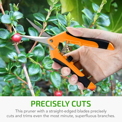Miniatura 6 de iPower GLPRNR6OR - Tijeras de podar de jardinería de 6.5 pulgadas con cuchillas rectas de acero inoxidable para recortar hierbas, plantas, Naranja