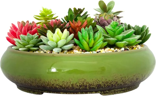 Macetas de bonsái de cerámica para suculentas de 11.5 pulgadas con drenaje, macetas grandes y poco profundas para suculentas para plantas de Verde
