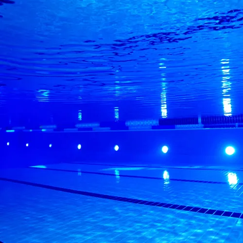 Miniatura 6 de Luces LED impermeables para piscina, 3 W, luz subacuática regulable, funciona a 12 V-24 V CC, 12 VAC, 4 paquetes de luces de bajo voltaje IP68
