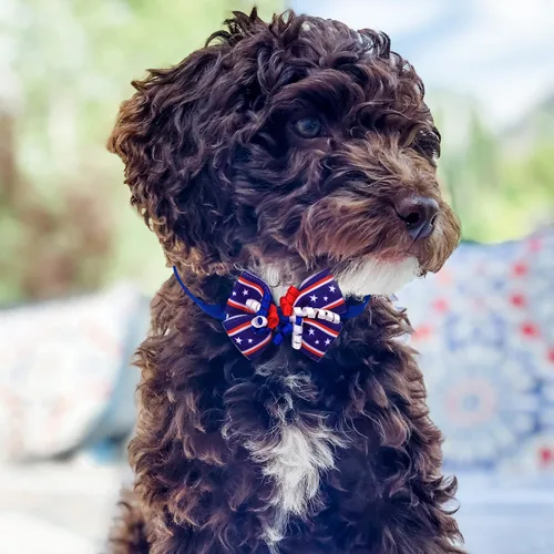 Miniatura 4 de 24 corbatines para perro del 4 de julio, pajarita para mascotas del Día de la Independencia, collar de rayas de estrellas ajustable, pajarita