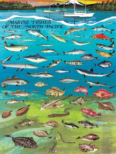 Miniatura 2 de New York Puzzle Company - Vintage Images Fishes of the North Pacific - Rompecabezas de 1000 piezas para noches de juego familiares