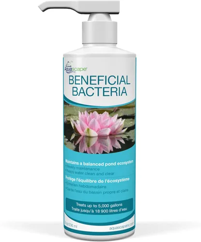 Miniatura 5 de Aquascape Bacterias beneficiosas Tratamiento líquido de agua para estanques y jardines acuáticos (16 onzas / 16.0 fl oz)