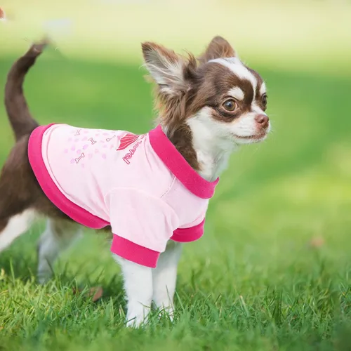 Miniatura 5 de 4 camisas para perro, ropa para perros de primavera y verano, lindo patrón, suave y transpirable, camiseta para mascotas, ropa para cachorros