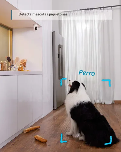 Miniatura 3 de eufy Security - Cámara Pan & Tilt de interiores de 2K. Kit de 2 cámaras, Plug-in de seguridad, cámara interior con Wi-Fi, cámara IP, inteligencia