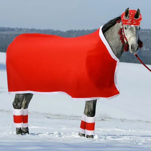 Miniatura 6 de Paquete de 6 accesorios de disfraz de caballo de Navidad que incluyen envolturas de caballo, piernas, caballo, Papá Noel, manta de silla de montar