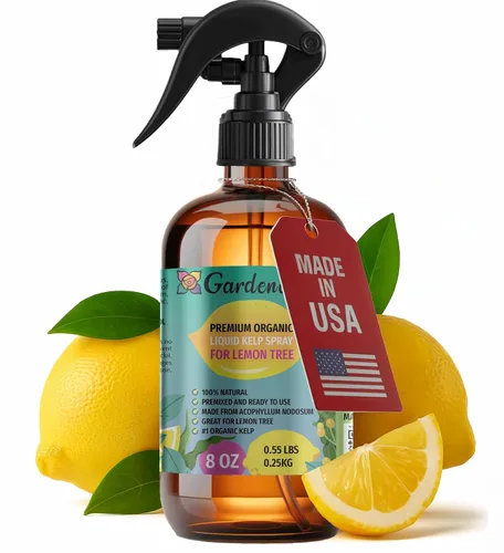 Miniatura 16 de GARDENERA Spray orgánico profesional de algas marinas para plantas AGLAONEMA – 8 oz – Rocío fertilizante de algas marinas y algas marinas totalmente