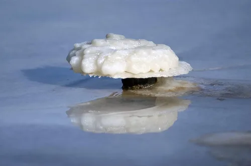 Miniatura 5 de Sal del Mar Muerto – Sales del Mar Muerto para remojo, sal mineral para baño, spa, ducha – Sal de baño pura y natural para remojo de pies, más