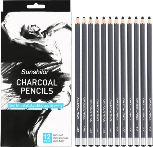 Sunshilor Juego de 12 lápices de carbón profesionales, 12 lápices de carbón duro suave y medio para dibujar, dibujar, sombrear, lápices de artista