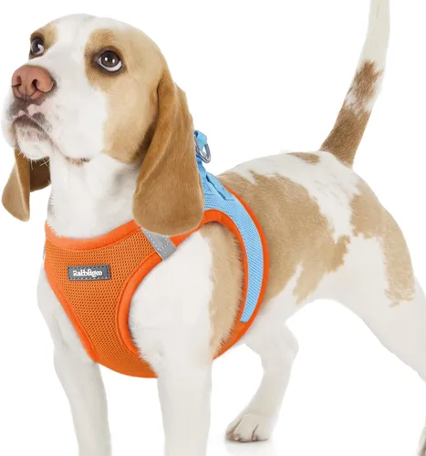 Miniatura 128 de rabbitgoo Arnés para perro pequeño, chaleco de malla suave para cachorros con hebilla de seguridad, arnés reflectante transpirable para mascotas