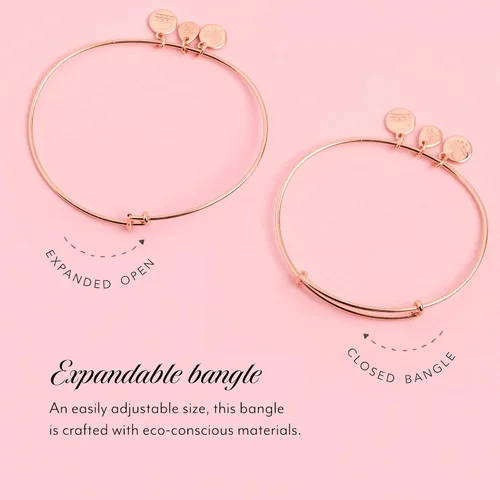 Miniatura 2 de Alex and Ani Pulsera de infusión de color Soul Sisters